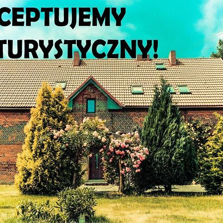 Chata Na Koncu Swiata Czaplin Maly Luaran gambar